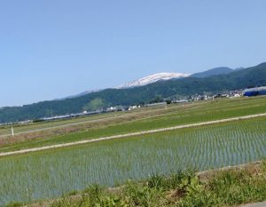 月山と田んぼ