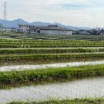 山形県農業総合研究センター水田農業研究所