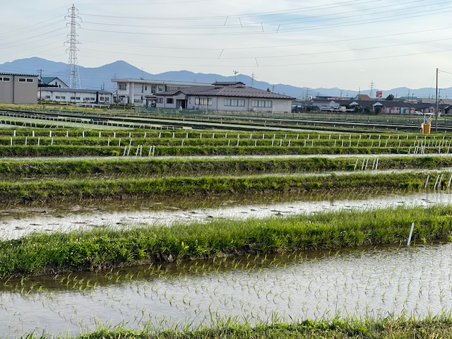 山形県農業総合研究センター水田農業研究所